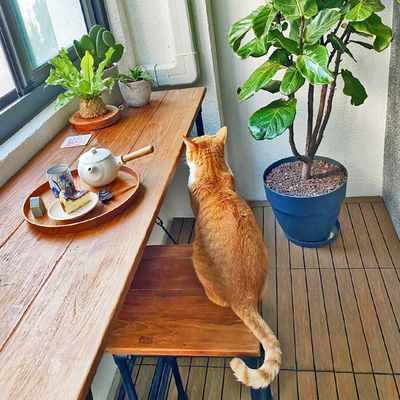 Carreaux de terrasse en bois polyvalents Carré imperméable à l'eau pour une utilisation en extérieur