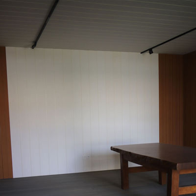 Un bon prix. Parement intérieur / extérieur en WPC Parement composite en bois plastique en ligne